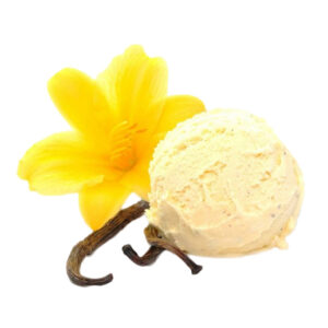 Vanilla Ice Cream 3kg Frozen