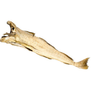Stockfish 60/80 Baccala' Ragno