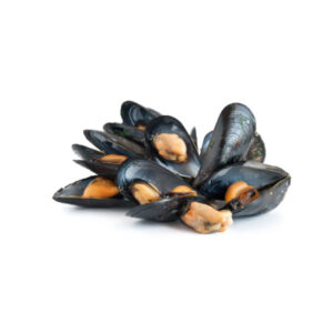 Cooked whole Shell mussels 40/60