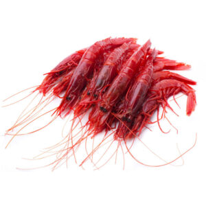 Argentine Red Shrimp 10-20 Frozen At Sea