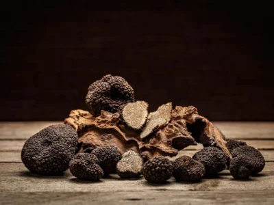 The Truffle season at ZainoFood London