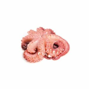 Portuguese Octopus 3-4Kg 10% Glaze