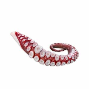 Octopus tentacles 350g