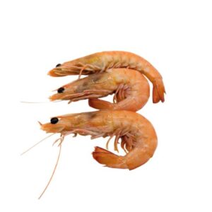 Iqf king prawns 21-30