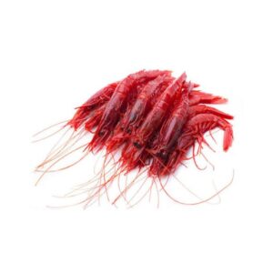 Argentine Red Shrimp 10-20 Land