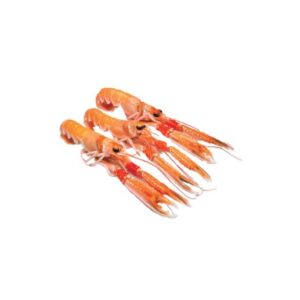 Whole Scampi 8-12 1kg