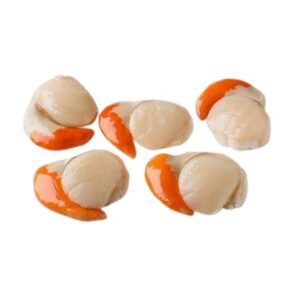 Scallops 8-12 roe on king